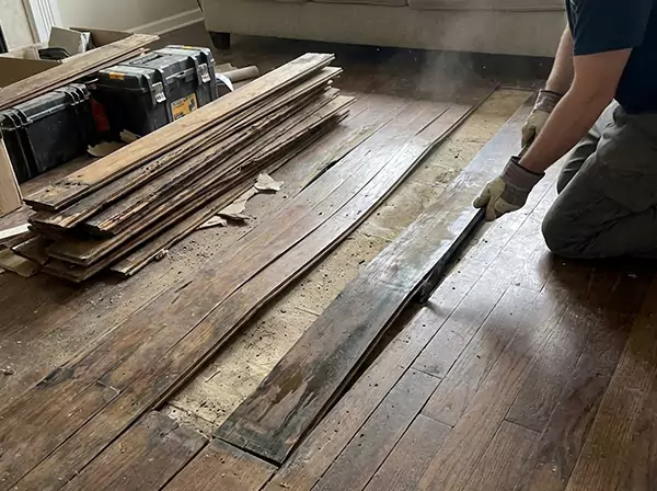 Water Damage Drying in Flowery Branch