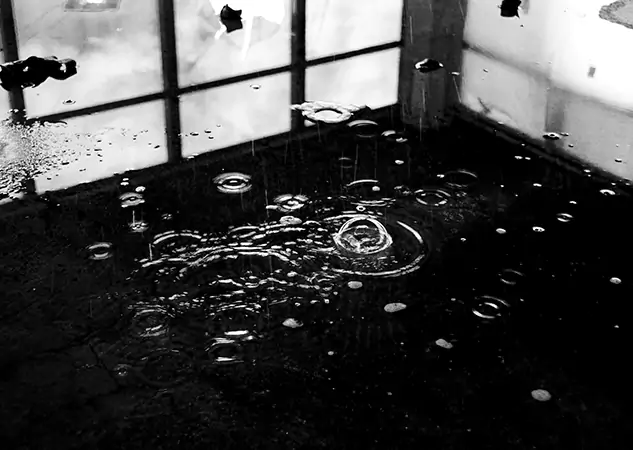 Your Contaminated Water Removal Specialists in Flowery Branch, GA