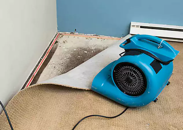 Your Water Damage Experts in Flowery Branch, GA