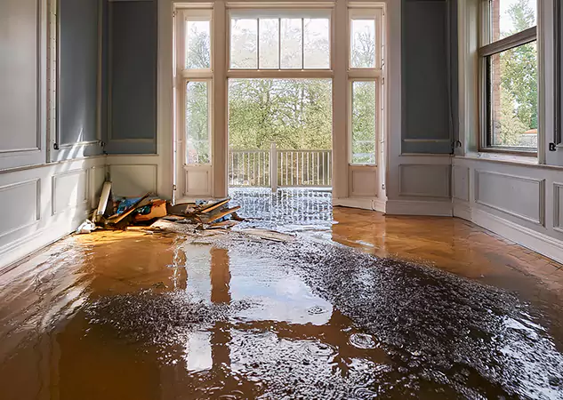 Your Disaster Restoration Services in Flowery Branch, GA