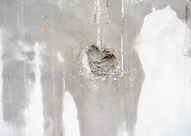 Your Mold Mitigation Solutions Partner in Flowery Branch, GA