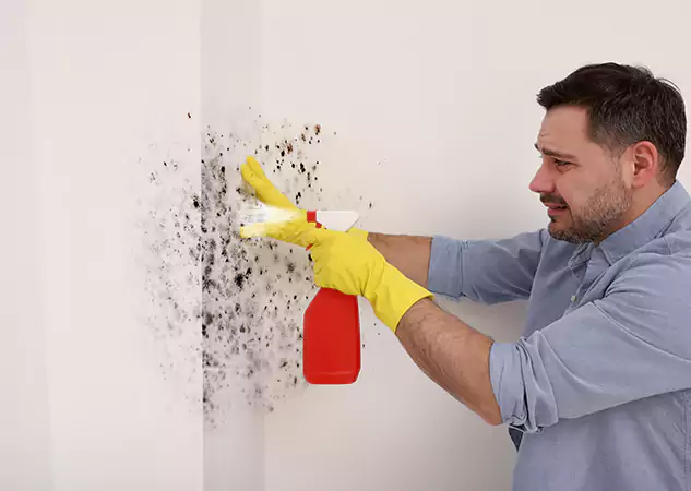 Your Water Mold Fire Restoration Partner in Flowery Branch, GA