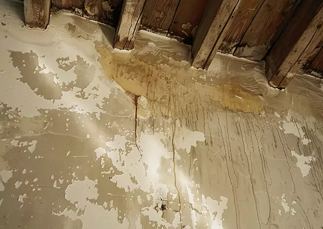 Your Trusted Restoration Company in Flowery Branch, GA