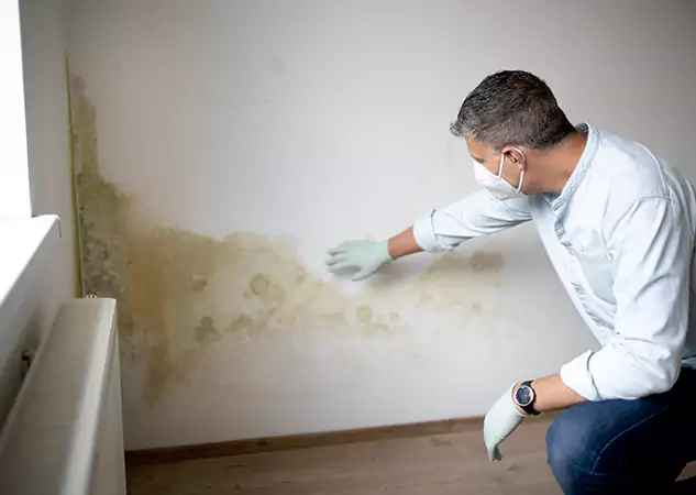 Reach Our Remediation Team Before Damage Grows in Flowery Branch, GA!