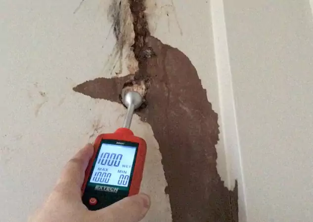 Your Water Damage Assessment Partner in Flowery Branch, GA