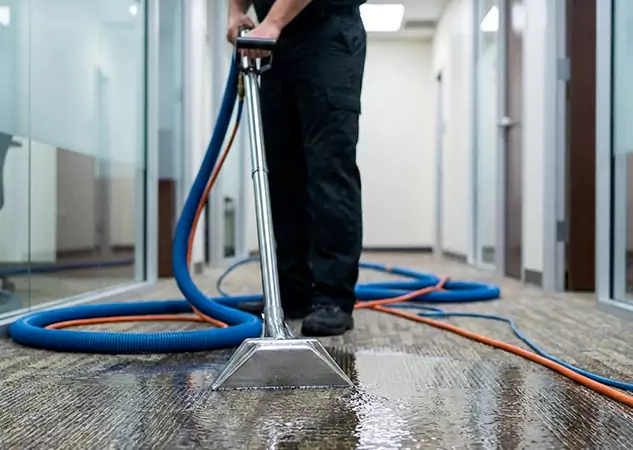 Your Water Damaged Carpet Restoration Partner in Flowery Branch, GA