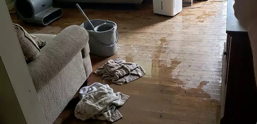Professional Basement Water Remediation Services in Flowery Branch, GA