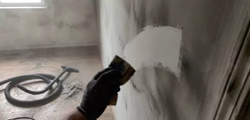 Professional Water and Fire Damage Restoration Services in Flowery Branch, GA
