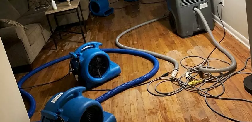 Basement Flood Restoration Services in Flowery Branch