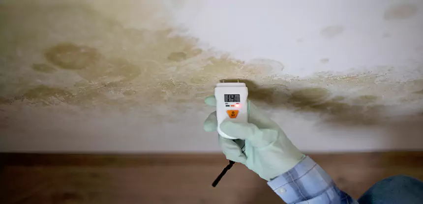 Emergency Mold Remediation in Flowery Branch