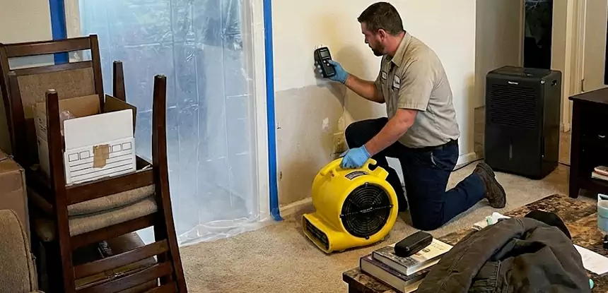 Carpet Water Damage Repair Flowery Branch