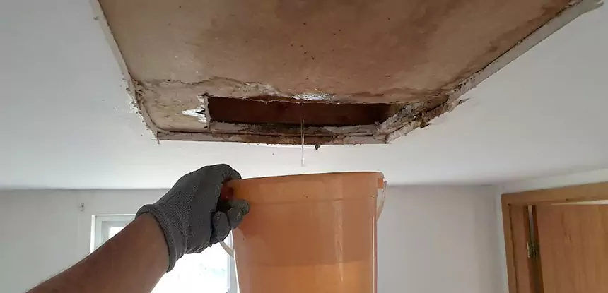Ceiling Mold Repair Flowery Branch