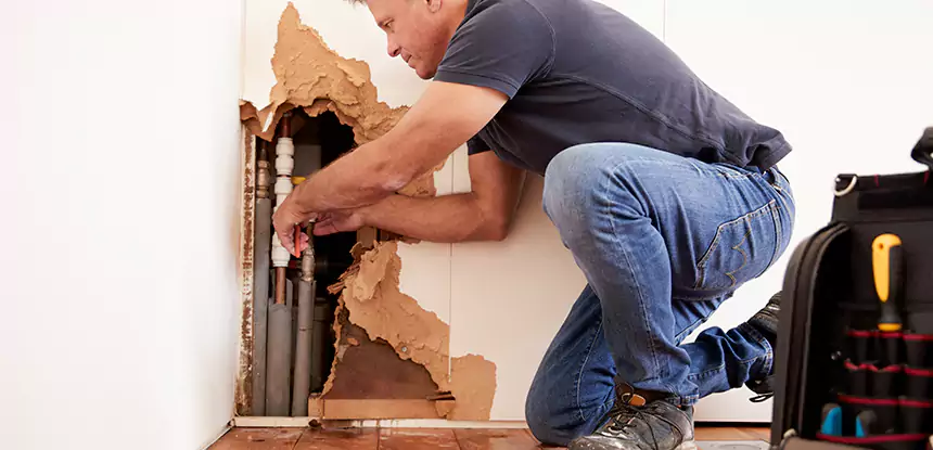 Broken Pipe Water Damage Repair in Flowery Branch