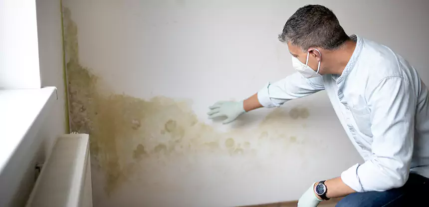 Mold and Water Damage Repair in Flowery Branch