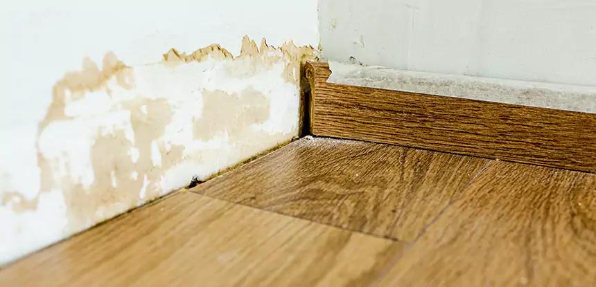 Professional Fix Water Damaged Wood Services in Flowery Branch, GA