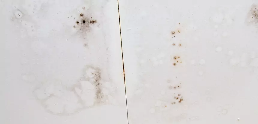 Professional Water Stain Repair Services in Flowery Branch, GA