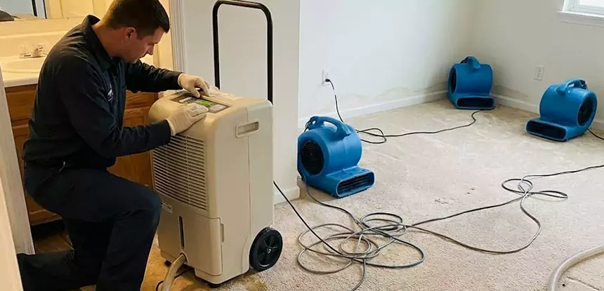 Professional Wet Carpet Removal Services in Flowery Branch, GA