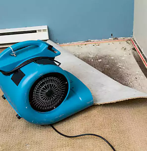Why Flowery Branch Trusts Flowery Branch Restoration Pro for Carpet Flood Recovery?