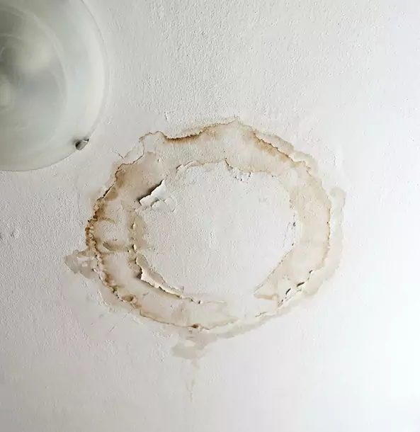 Why Flowery Branch Property Owners Choose Flowery Branch Restoration Pro for Ceiling Water Damage Restoration?