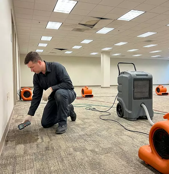 Why Flowery Branch Businesses Choose Flowery Branch Restoration Pro for Water Cleanup?