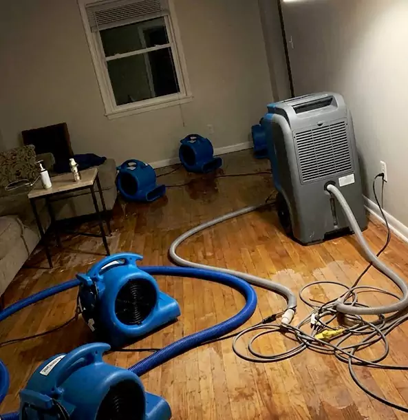 Why Flowery Branch Calls Flowery Branch Restoration Pro First for Emergency Restoration?