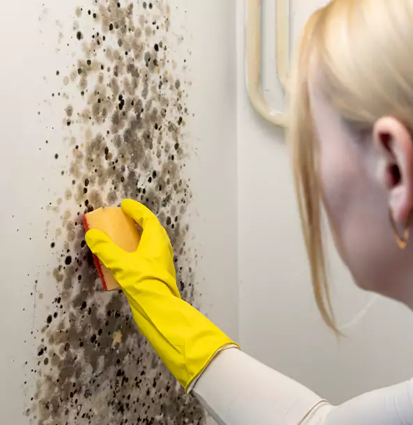 Why Flowery Branch Restoration Pro Leads Mold Remediation in Flowery Branch?