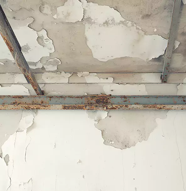 Why Flowery Branch Restoration Pro Is the Right Choice in Flowery Branch, GA?