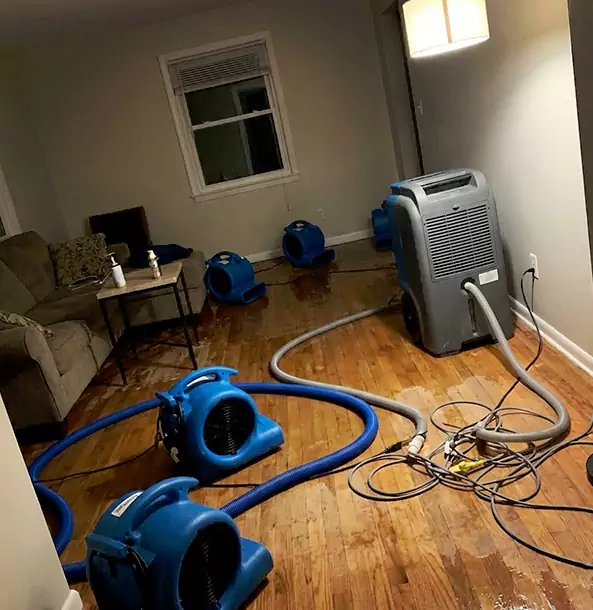 Why Flowery Branch Property Owners Rely on Flowery Branch Restoration Pro for Remediation?