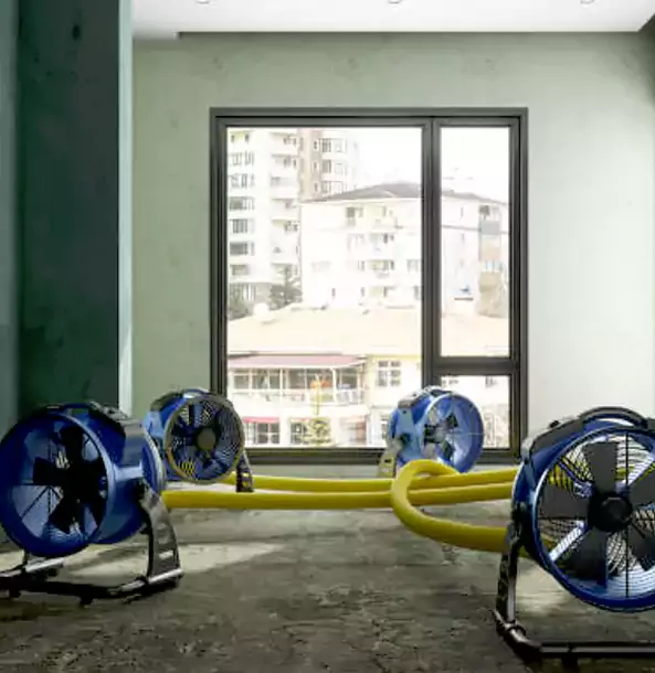 Why Flowery Branch Property Owners Trust Flowery Branch Restoration Pro for Water Damage Drying?