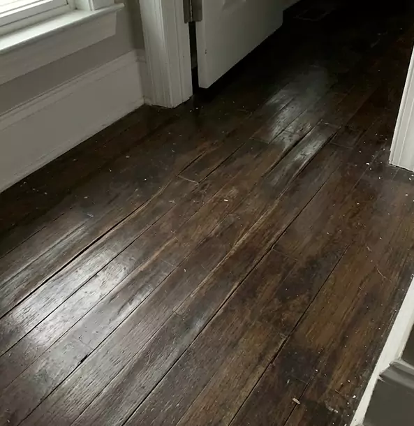 Why Flowery Branch Homeowners Trust Flowery Branch Restoration Pro to Fix Water Damaged Wood?