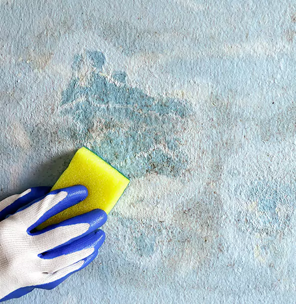 Why Flowery Branch Restoration Pro Is the Right Choice in Flowery Branch, GA?