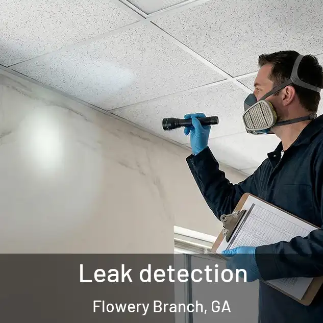  Leak detection Flowery Branch, GA