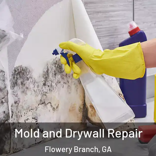  Mold and Drywall Repair Flowery Branch, GA