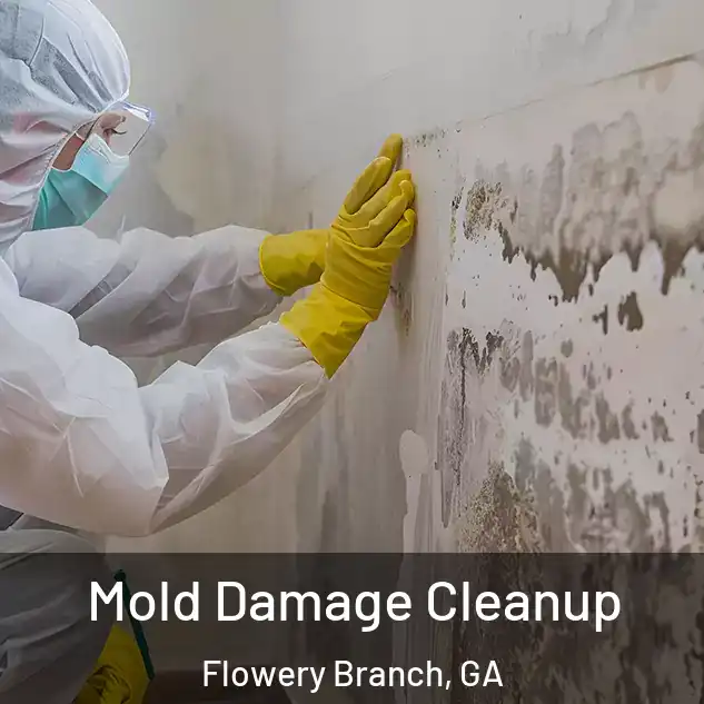  Mold Damage Cleanup Flowery Branch, GA