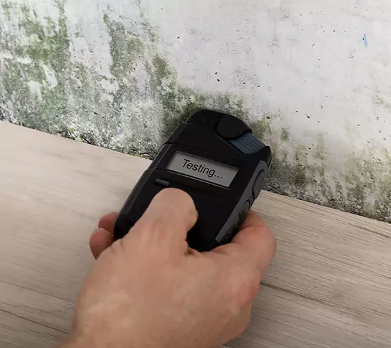 Mold Remediation Service Flowery Branch