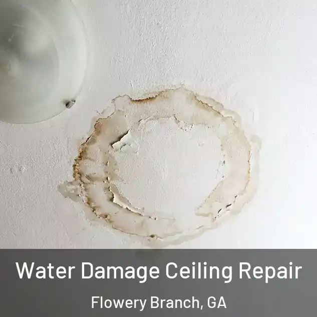  Water Damage Ceiling Repair Flowery Branch, GA