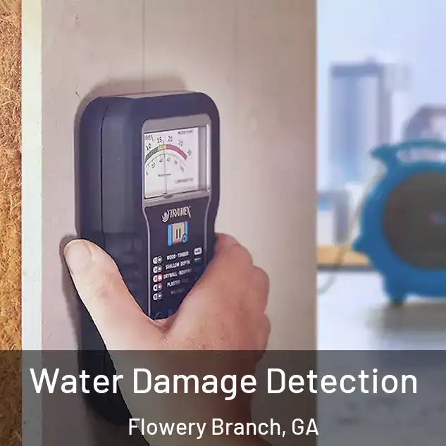  Water Damage Detection Flowery Branch, GA
