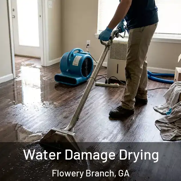  Water Damage Drying Flowery Branch, GA