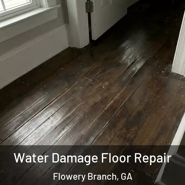  Water Damage Floor Repair Flowery Branch, GA