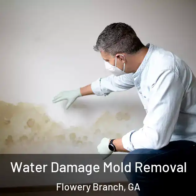 Water Damage Mold Removal Flowery Branch, GA