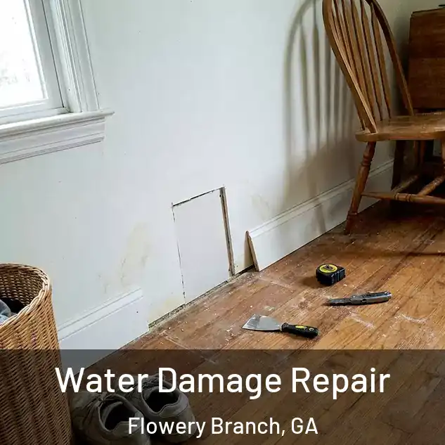  Water Damage Repair Flowery Branch, GA