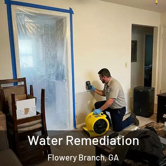  Water Remediation Flowery Branch, GA