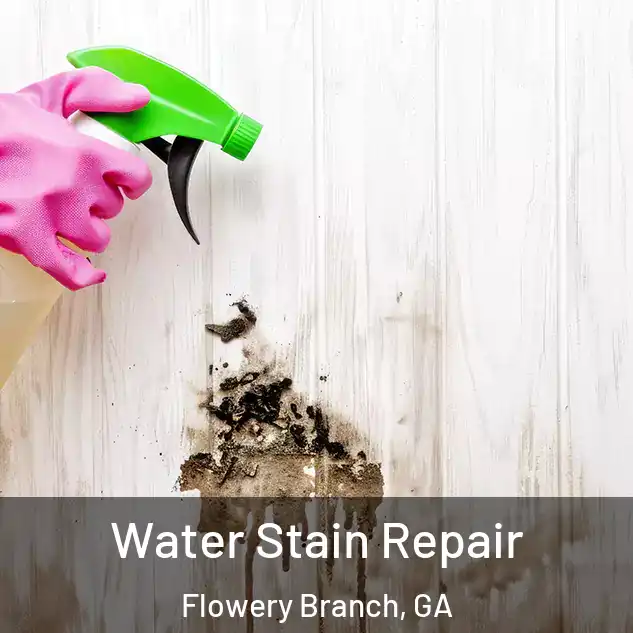  Water Stain Repair Flowery Branch, GA