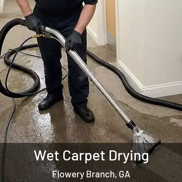  Wet Carpet Drying Flowery Branch, GA